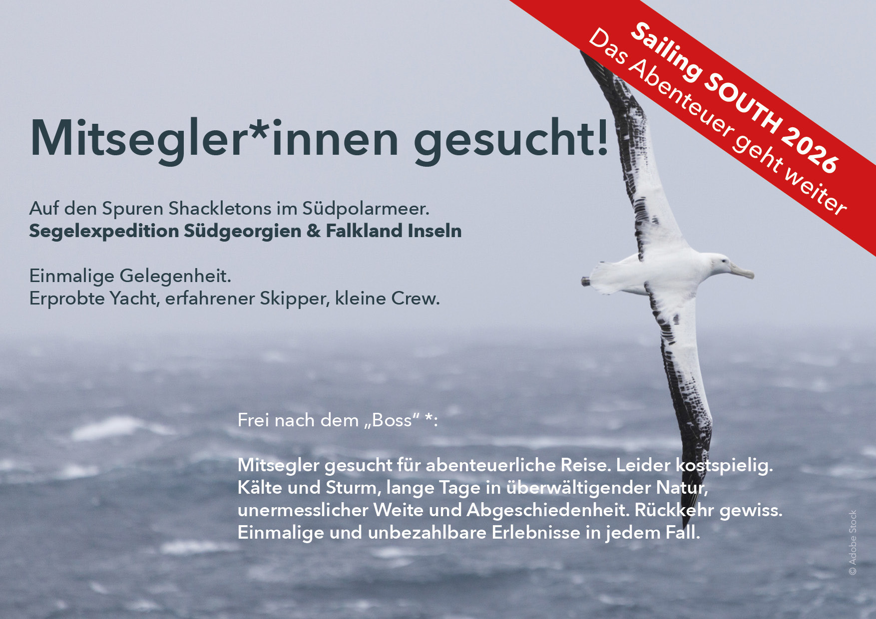 Sailing SOUTH 2026 | Segel-Expedition: Südpolarmeer – Südgeorgien – Falklandinseln