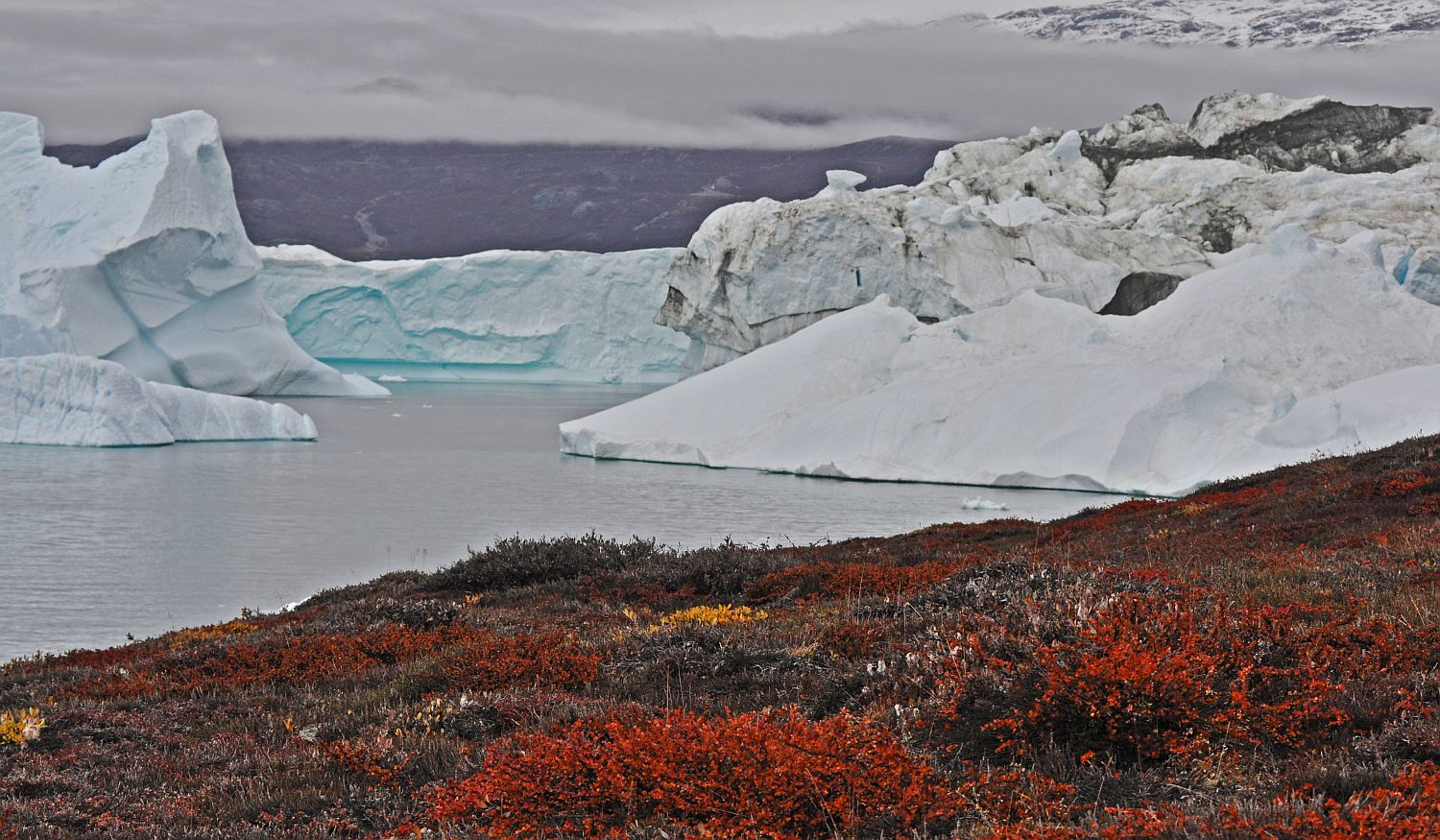 Eisberge Im Rode Fjord