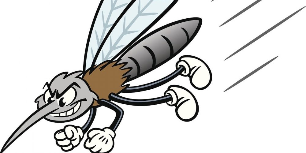 Cartoon Mosquito